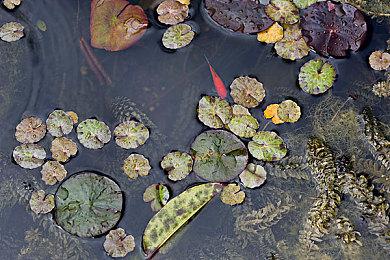 CDPR：《赛博朋克2077》真人版2024年不会有